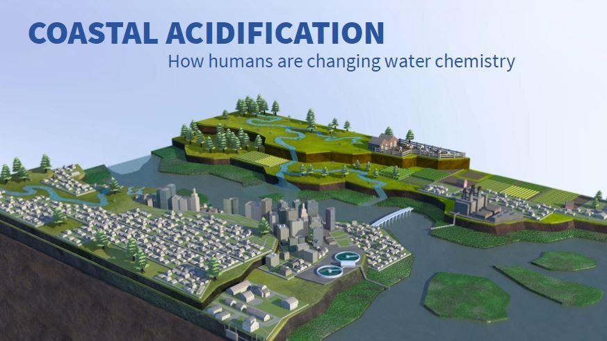 coastal acidification