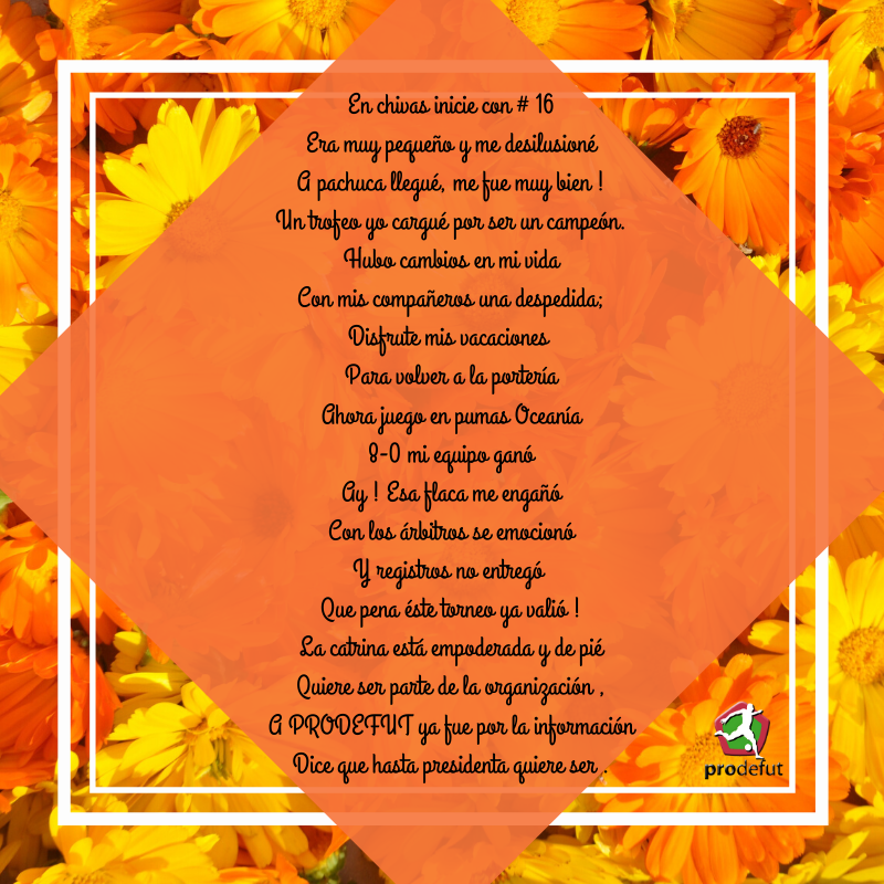 Prodefut Soccer tweet media