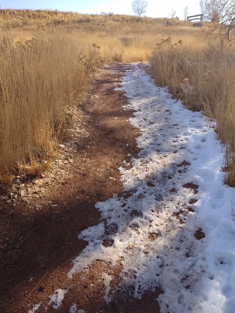 LCDNR's tweet photo. Trails are still muddy and Devil's Backbone and Horsetooth Mountain remain closed. Thank you for your patience as we wait for them to dry out! Note the visitor that was unaware of the closure and got their bike caught in mud. Photos taken by Ranger Aliy Louie. #DBBOS #LCTrails https://t.co/lH0exZnqtT