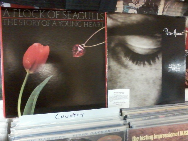 Happy Birthday to Mike Score of Flock Of Seagulls & Peter Hammill (Van Der Graaf Generator) 