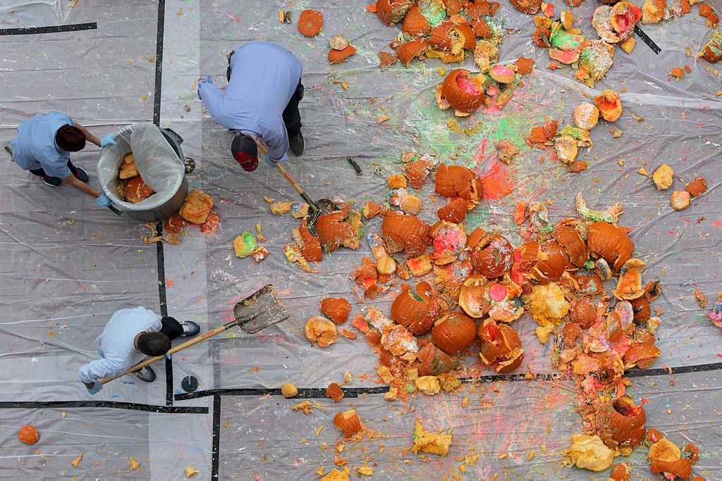 The Big Picture tweet media