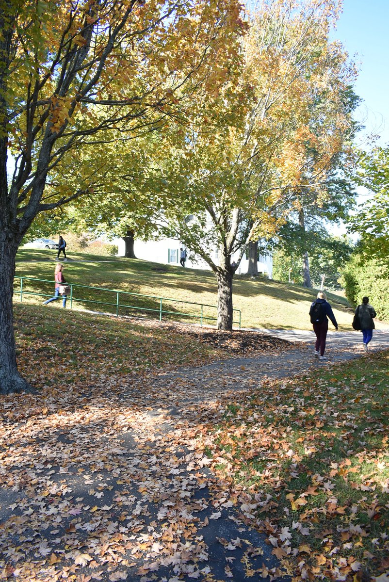 LasellUniv's tweet image. It may be raining today, but fall on our campus is pretty spectacular. #LasellUniversity #Fall2019
