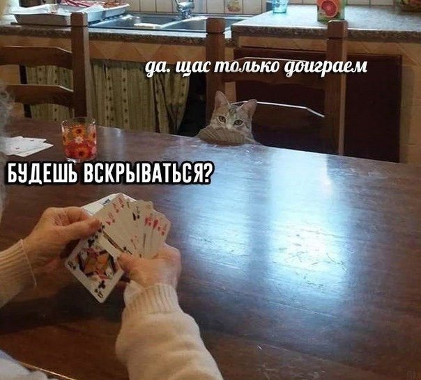 ныла 5 часов, на час успокоилась и продолжила ныть. прекрасный день, конечно