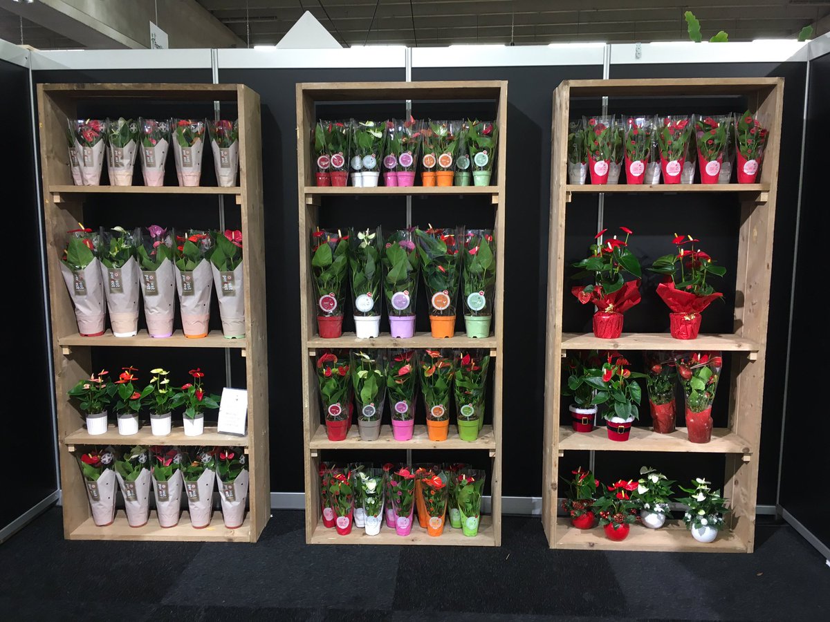 Van 6 tot 8 november zijn wij present op de #TFA2019! We heten U welkom in stand 36.1