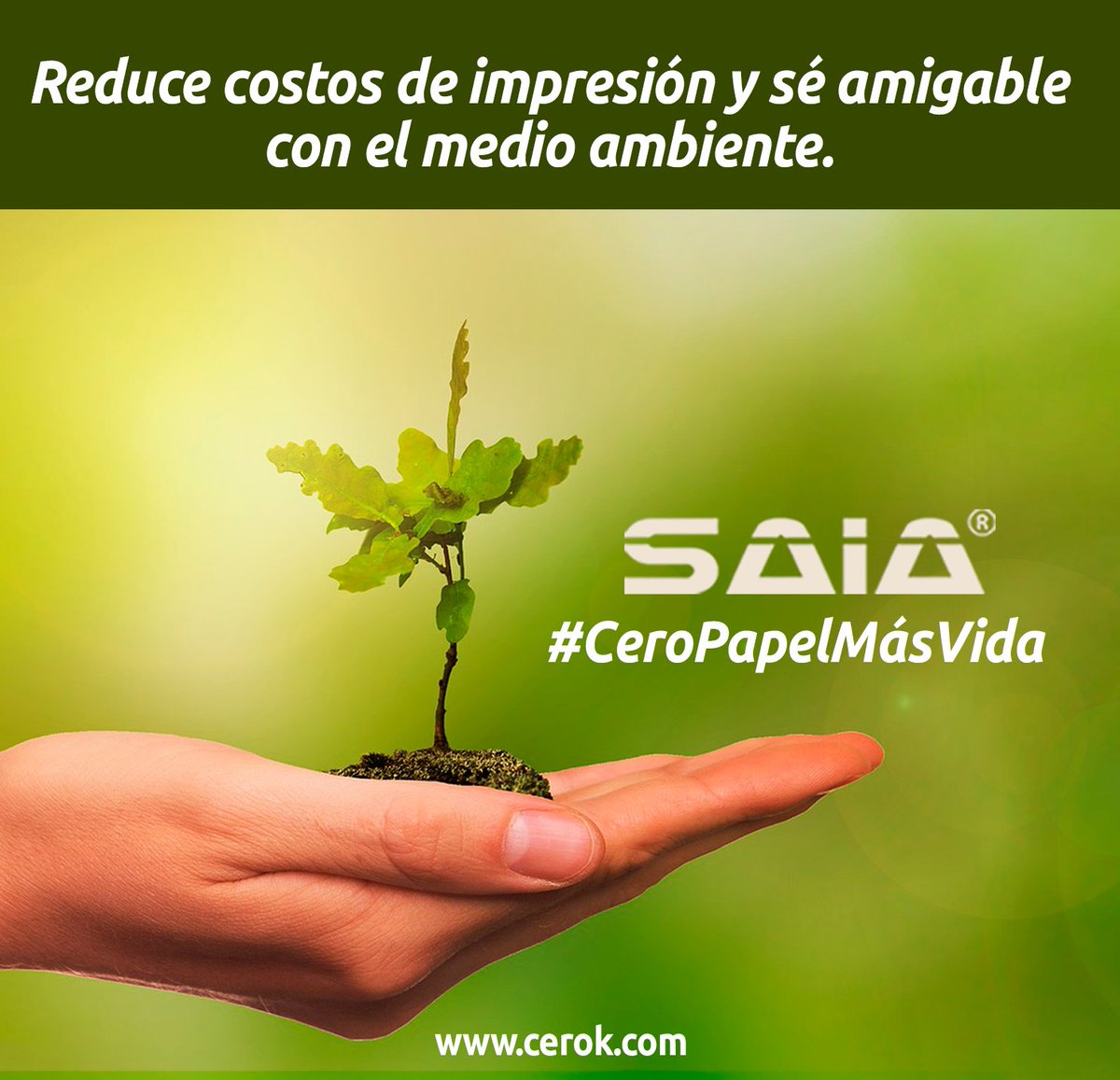 saiasoftware's tweet image. Elige lo mejor para tu organización, elige SAIA software.

Conoce más en: cerok.co

#SoftwareDocumental #GestionDocumental #Eficiencia #GoPaperless #CeroPapelMasVida