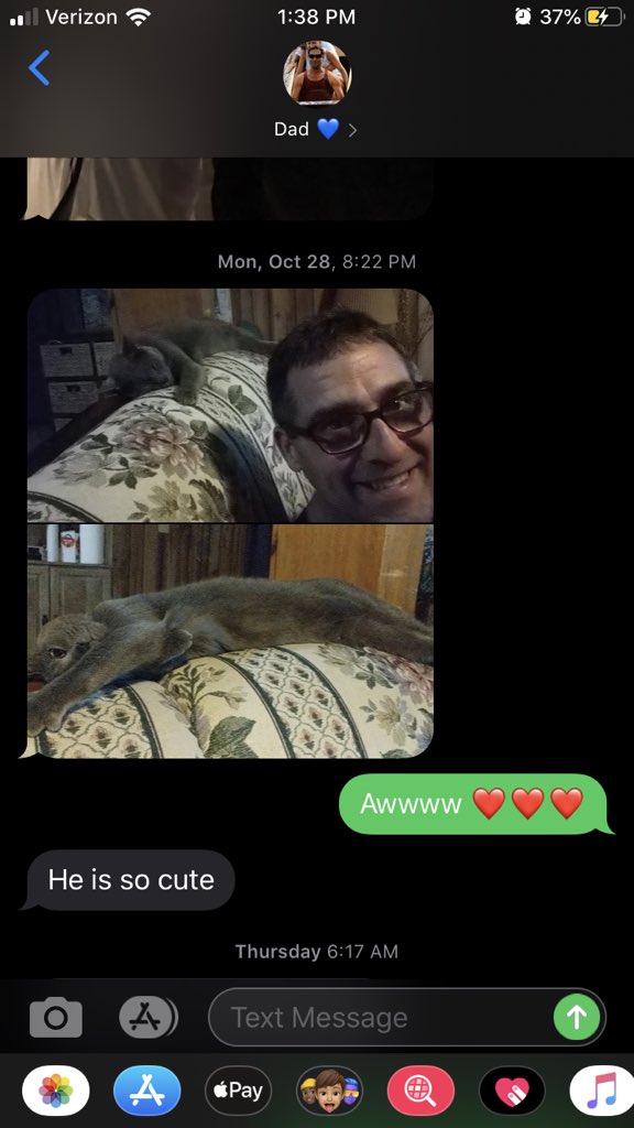 msmyslivy's tweet photo. My dad: that cat is NOT staying in this house.  

My dad a day later: https://t.co/P9roO5xcem
