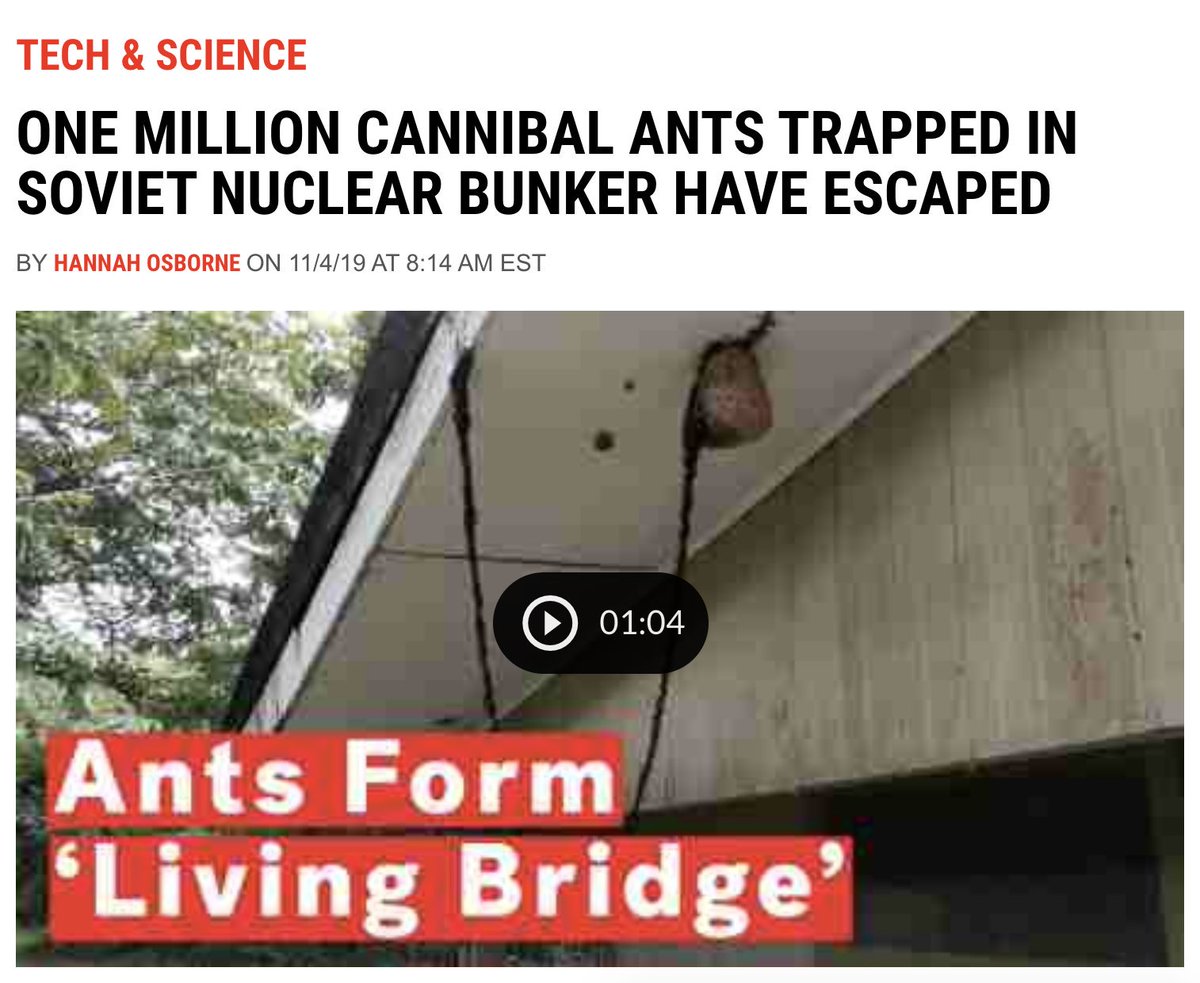 CJBeaudoin's tweet image. .@RickandMorty You predicted this! Vindicators Million Ants origin story right here! #rickandmorty #vindicators