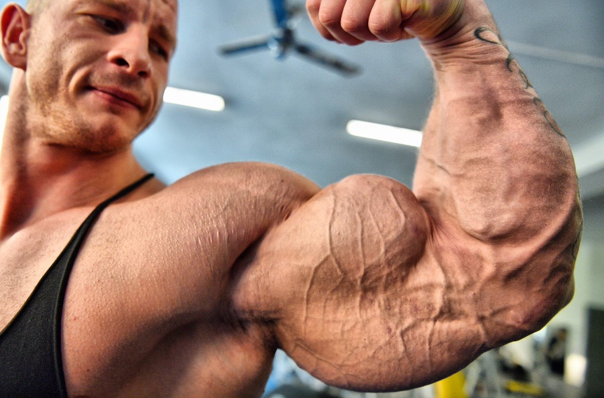 Muscle Lover tweet media