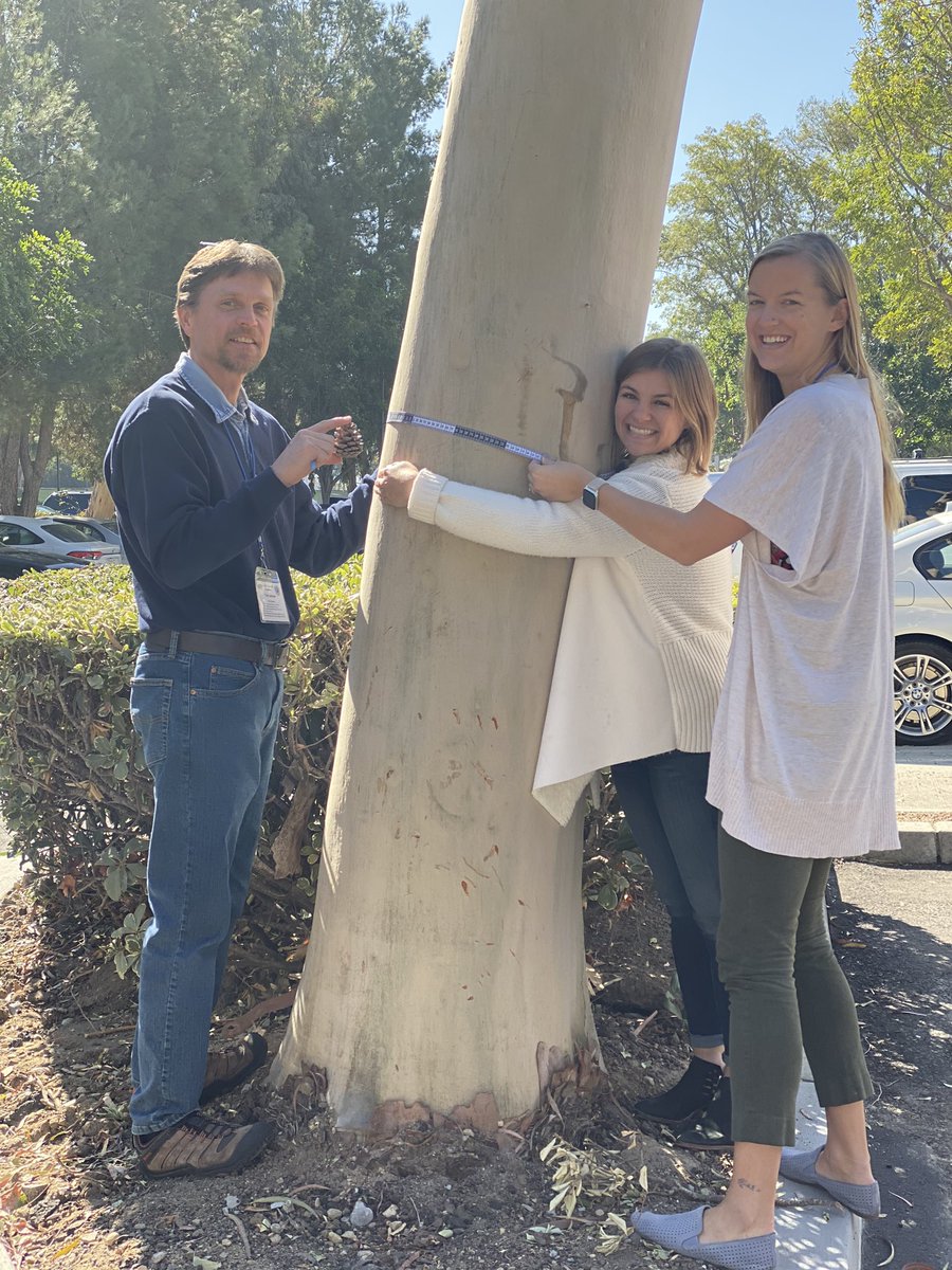 Visit a tree #environmentalliteracy #CANGSSRollout The @oakparkusd @Oak_Park_High team! @CA_Sci_Project @K12Alliance @VenturaCOE @nathan_inouye @OfficialNGSS @CaEEI #CANGSS #VCOESTEM @JayGreenlinger @JaneJwagmeister