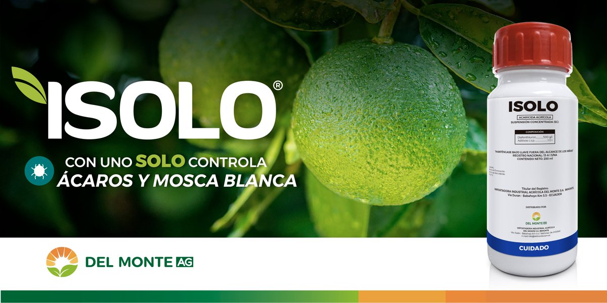 Con uno SOLO controla Ácaros y Mosca Blanca en su cultivo de limón, ISOLO acaricida con doble acción de control. Un producto de Del Monte AG con calidad e innovación. #Ácaros #MoscaBlanca #Isolo 

Visítanos:
delmontecuador.com