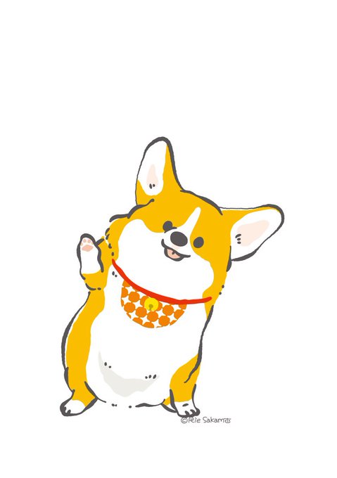 「柴犬 立つ」のTwitter画像/イラスト(新着)｜6ページ目