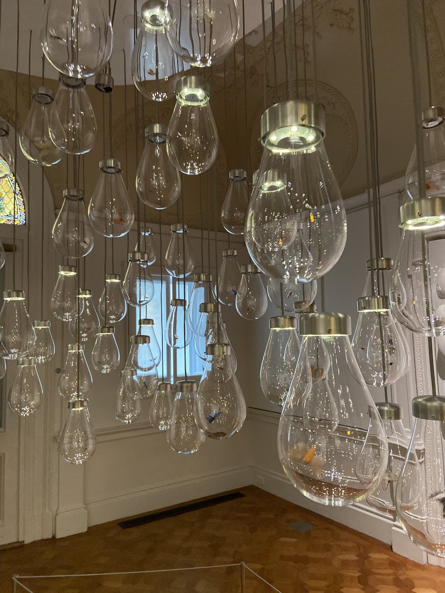 sara__cury's tweet photo. Creative spaces are not just about the physical environment, but also about the people that inspire you within the space @cooperhewitt #cheducation #WeAreChappqua #WeArtChappaqua @KathrynOttoman1 @AmMcDonoughArt @kristan_pozzuto @elwood_carolyn @LouiseZBrady https://t.co/ozWeTk7er2