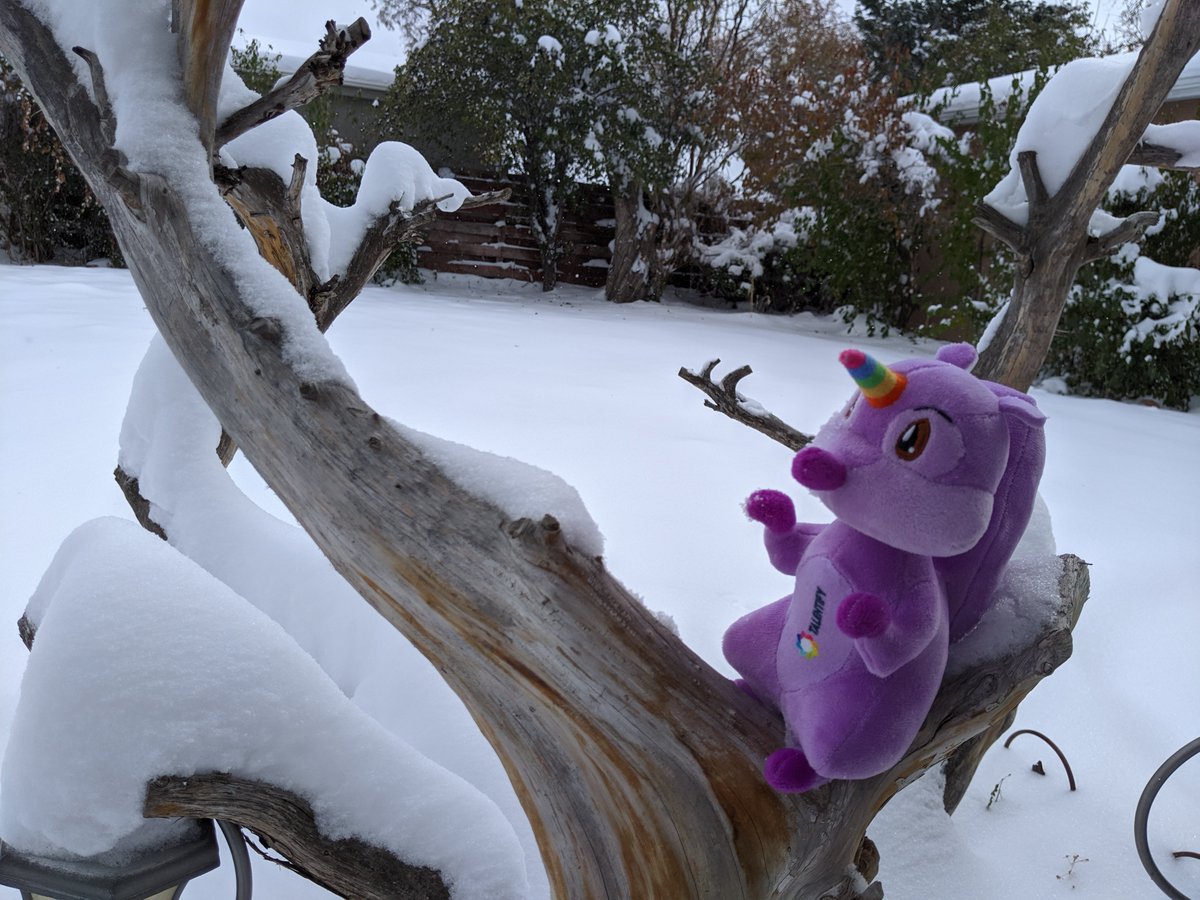 talentifyio's tweet photo. "What is this stuff?" wonders Taly, having never seen snow before. "And how does it affect #recruiting?" #talysadventures #talentify https://t.co/RCBL1NnJ3B