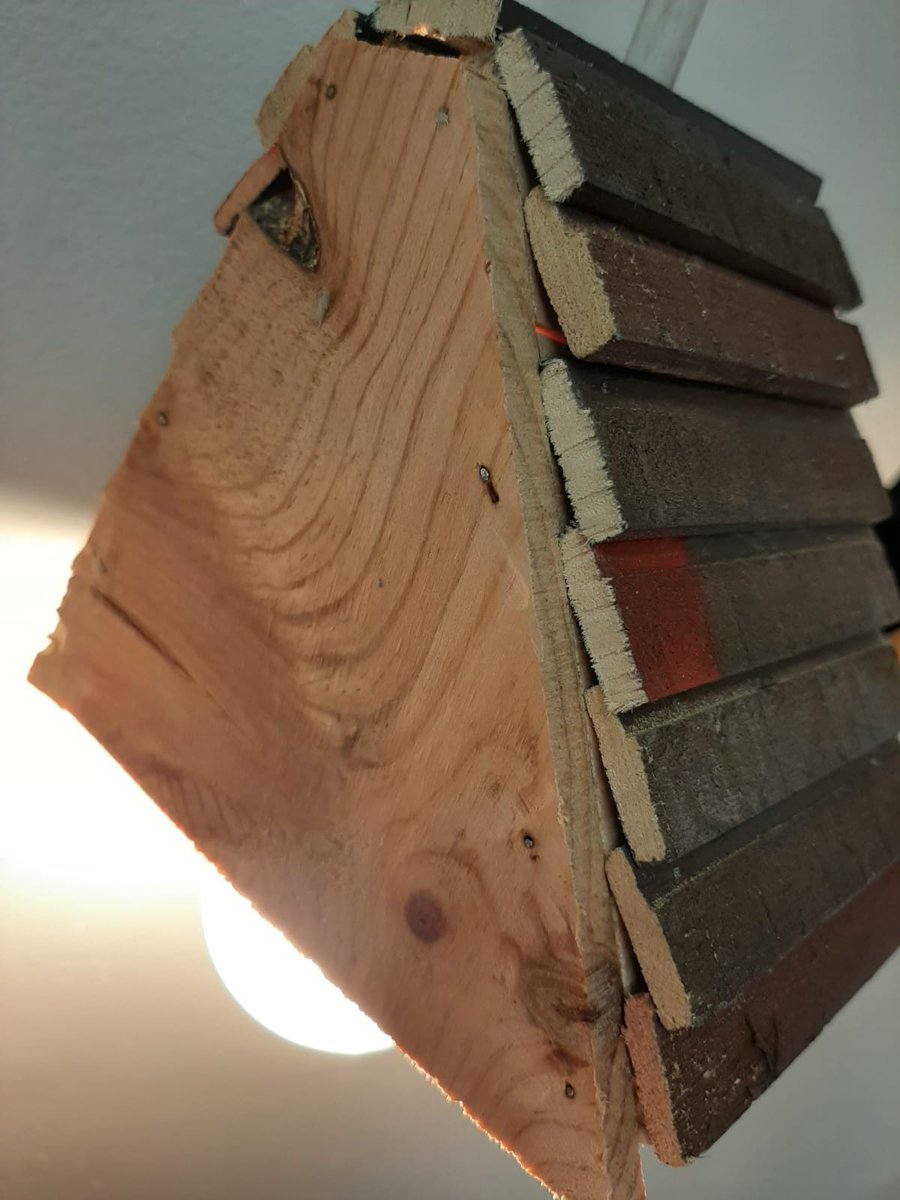 Stone Space Gallery tweet media