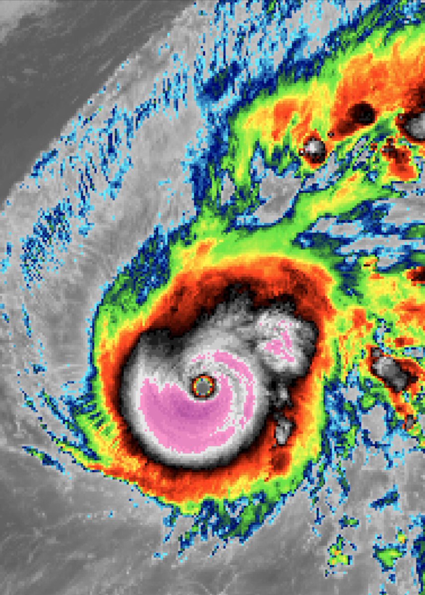 BREAKING: #TyphoonHalong is ONE of the strongest Western Pacific storms in recorded history, winds at 180mph and a pressure of 897mb. And surpassed #HurricaneDorain by pressure for the strongest tropical cyclone worldwide of 2019. An absolute monster of a Category 5 storm. 🌀