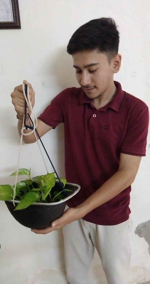 harshil_pitroda's tweet image. Ahmedabad Police discontinued Topi Helmet So I reused it by planting Money Plant 😁 #mybabytree
@aditiraval 
@RjDhvanit 
@AmdavadAMC 
@ahmedabadmirror 
@AhmedabadPolice