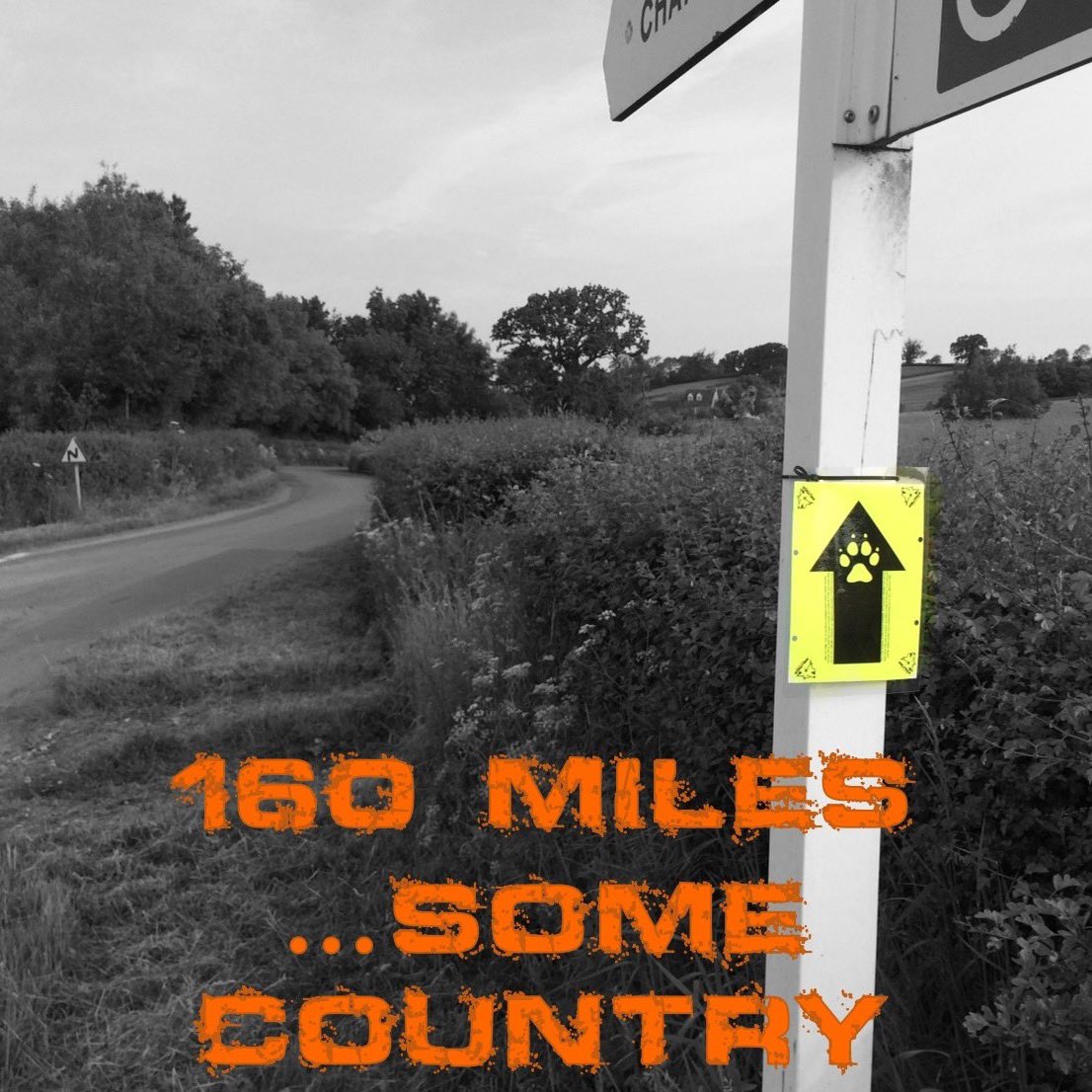 👇🏼👇🏼👇🏼