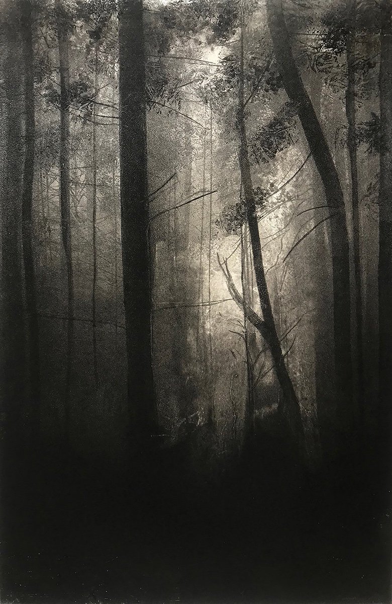 'Forests'- new monoprints by me. 19-28th November at R.K.Burt Gallery SE1 1SG.
I use dark forest imagery to explore emotional states of lostness and fear. ‘The usual tricks of forests: disorientation, echoes, a refusal to repeat itself’, Robert Macfarlane, ‘Underland’.