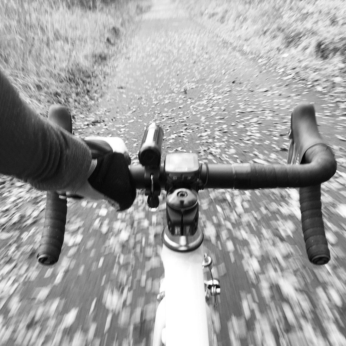 CraigHardie's tweet image. Lunch ridin #cycling #fixedwheel #beltdrive #justride