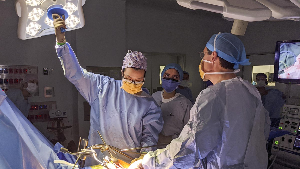 SERT and the Sydney University Surgical Society announce the 2020 medical student mentoring program.
surgery.rnsh.org/sert-and-the-s…