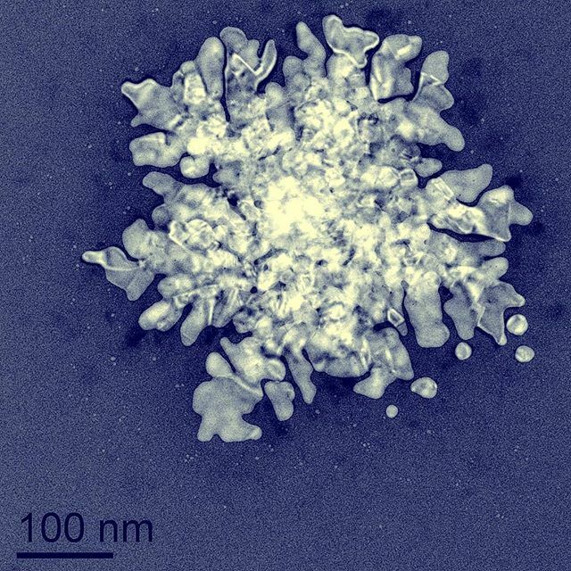 schwartzduval's tweet image. Favorite image I&apos;ve ever taken using #transmissionelectronmicroscopy ift.tt/36G8nrZ