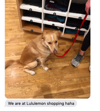 paigekeffer's tweet photo. Me: I hope my dog is having an okay day. 
My dog: *thriving*   (with @ashmac16) https://t.co/pkixBgZdYj