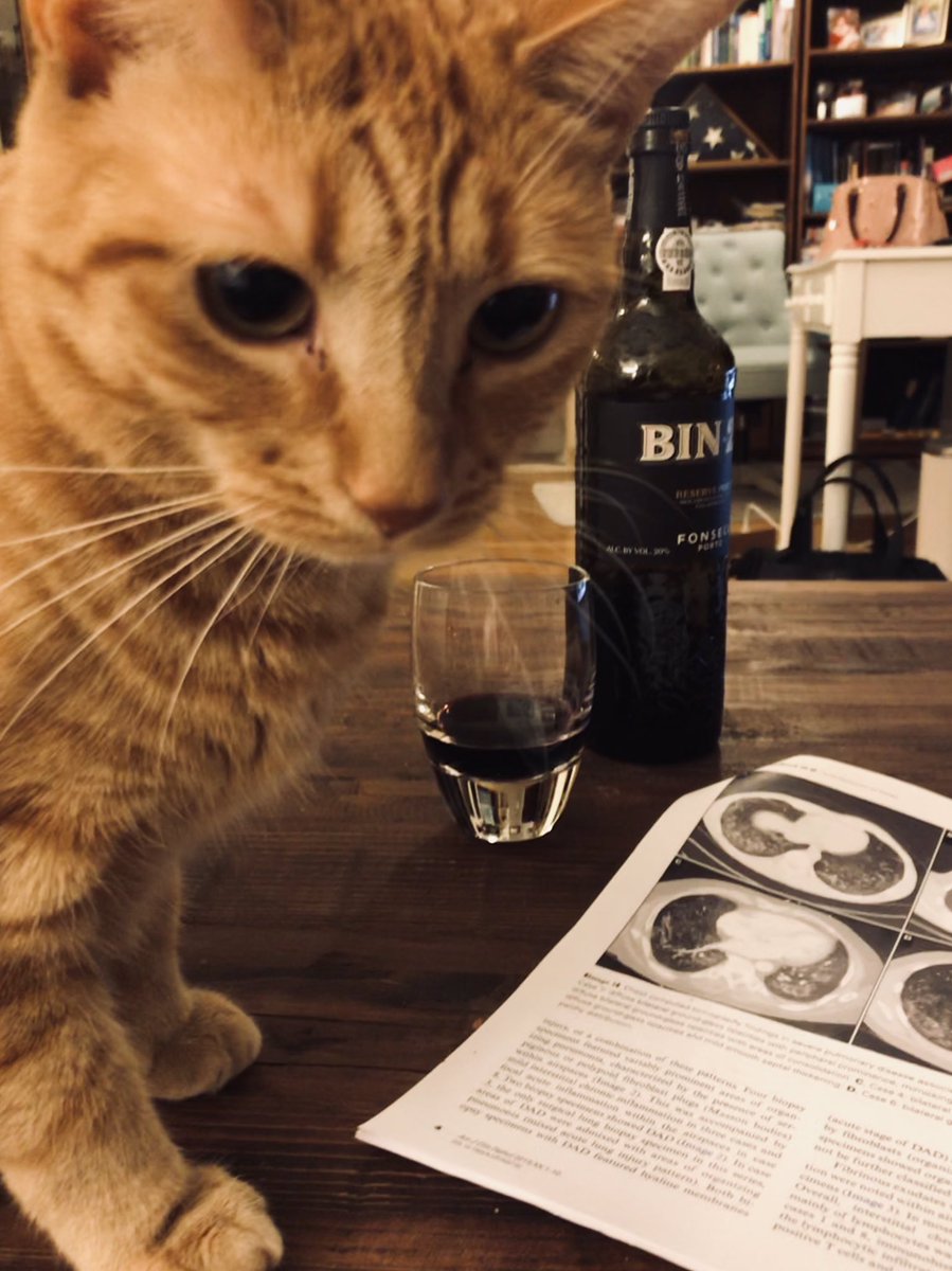 evemariecrane's tweet photo. Eve Crane joining from #nyc! No COI. Gingie was inspired by the beautiful fall evening to open some port. Katja is trying to finish going through the figures first. Excited #pathjc is back! #petsofpathjc https://t.co/fBClnSyEIk