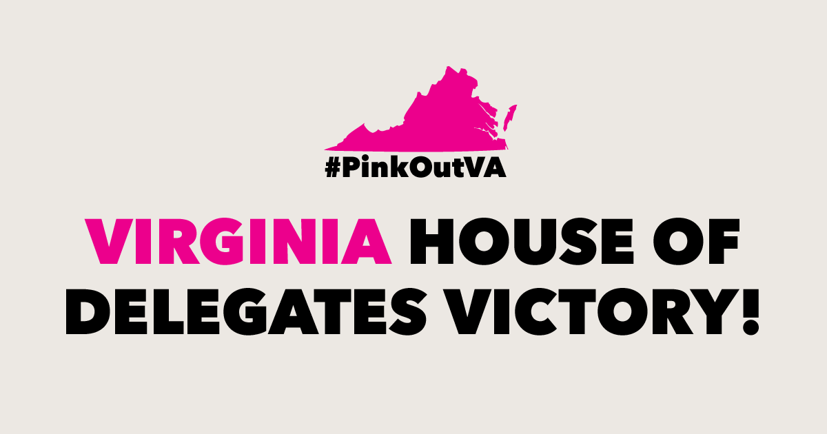 PPAVirginia's tweet photo. .@delegateguzman has always fought to protect the critical care that Planned Parenthood patients receive β including access to safe, legal abortion. Congratulations to Elizabeth and #HD31! #PinkOutVA https://t.co/v16udv39GA