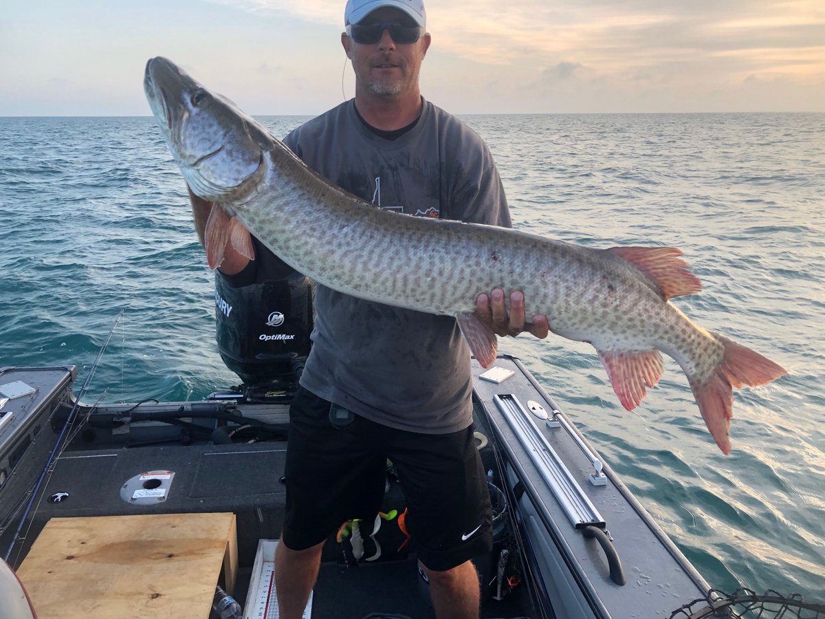 RedChildress's tweet photo. Legend Tournament musky lands another trophy!

#legendtournamentmusky
#bestrodsonearth
#andyscoreshis1stfiddy https://t.co/WuTXg28Rv0