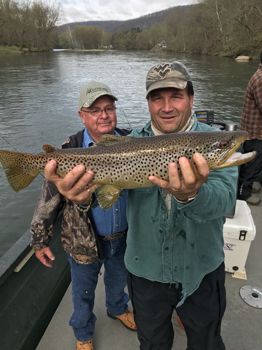 RedChildress's tweet photo. A beautiful Allegheny River trout. 

#premierspinningrods
#stcroixpremierrods
#bestrodsonearth
#alleghenyrivertrout https://t.co/2PlWyDY1Su