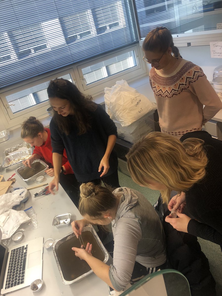 Prof. Vigdis Vandvik tweet media