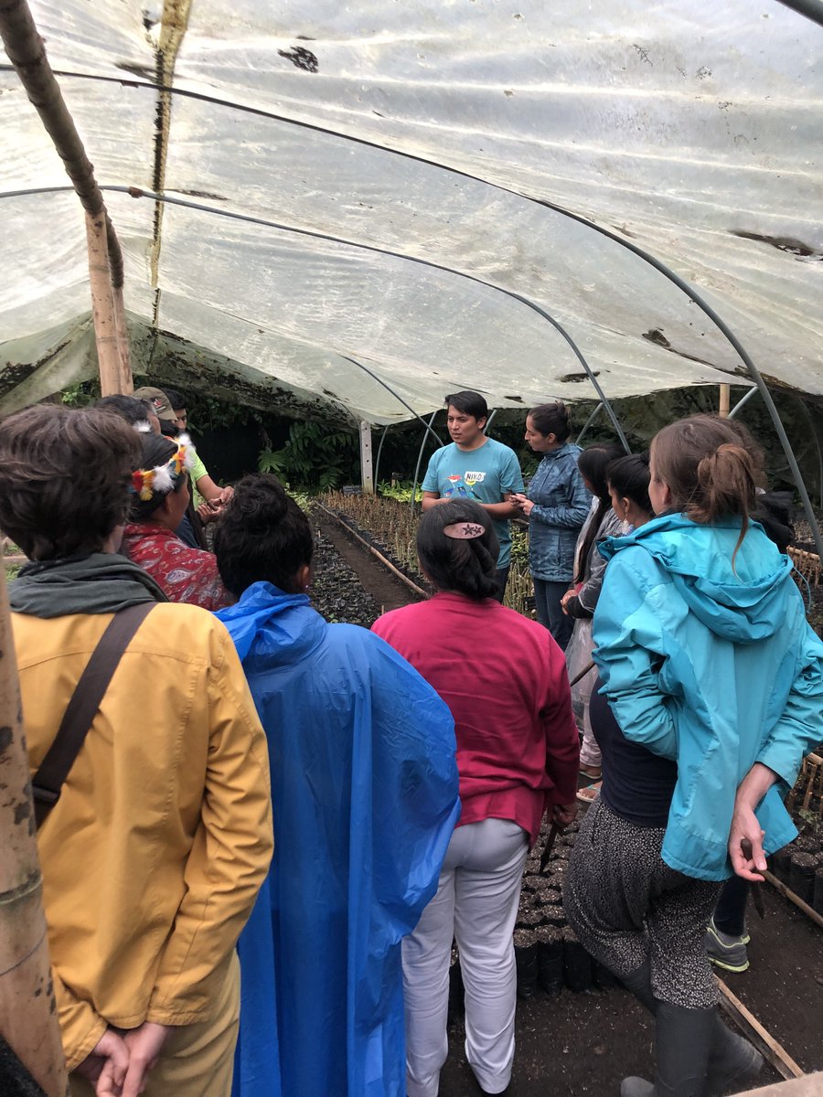 Intercambio de conocimientos socios BOS+.

#mindocloudforestfoundation #reforestation #forest