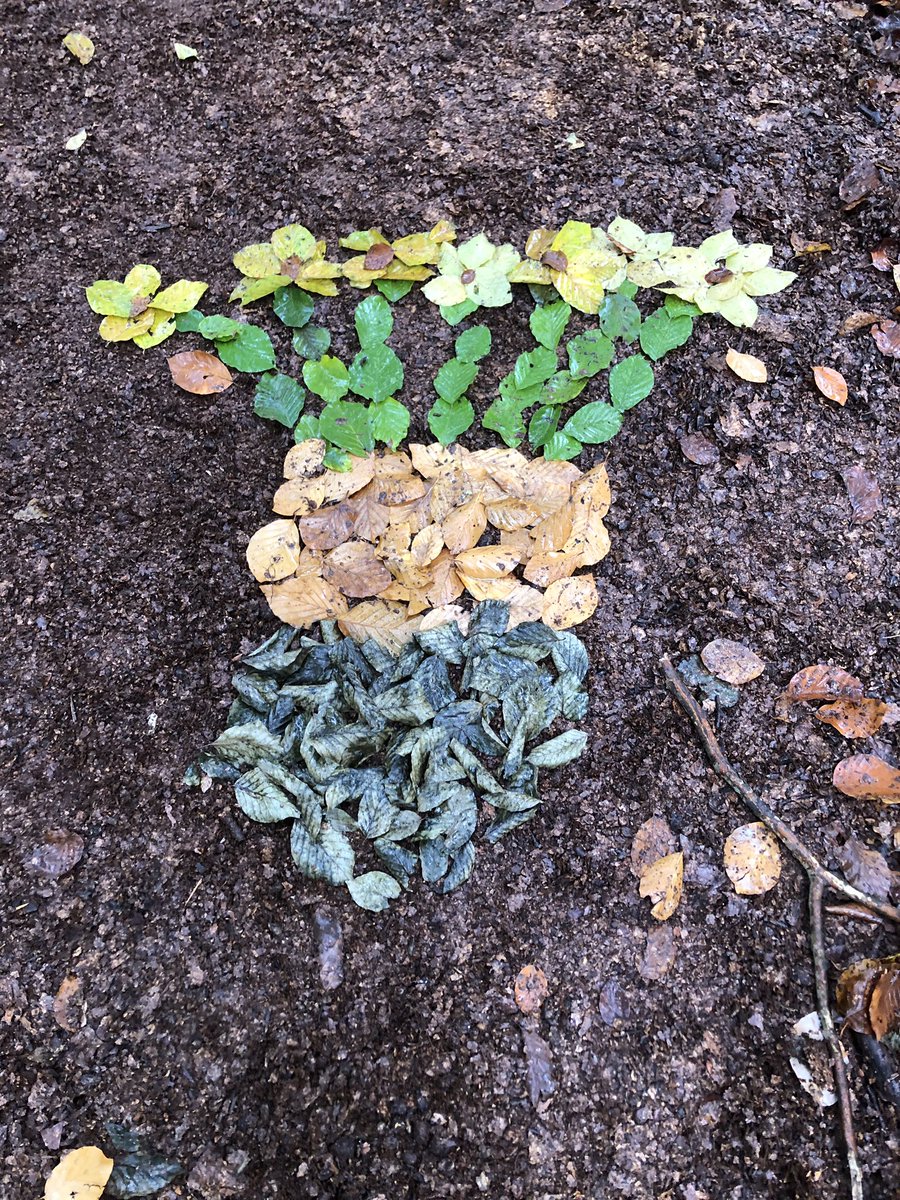 DBuitenschool's tweet photo. Welk schilderij van Van Gogh is er uitgebeeld door de kinderen vandaag? Wie het weet mag het zeggen! 😃☀️🌳
Het gebeurt al in het #VGNP Buitenschoolsleren @vangoghnp
@brab_landschap @annekeboezeman https://t.co/l4pWNaGKHb