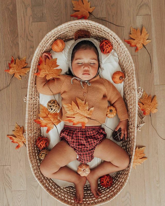DreamingInSatin's tweet photo. When your stage 5 clinger looks this cute and you’re totally ok with stage 6, 7, 8, 9 and 100. 🍁🥰 https://t.co/s8zzD05Yay https://t.co/YuvRIJ70pY