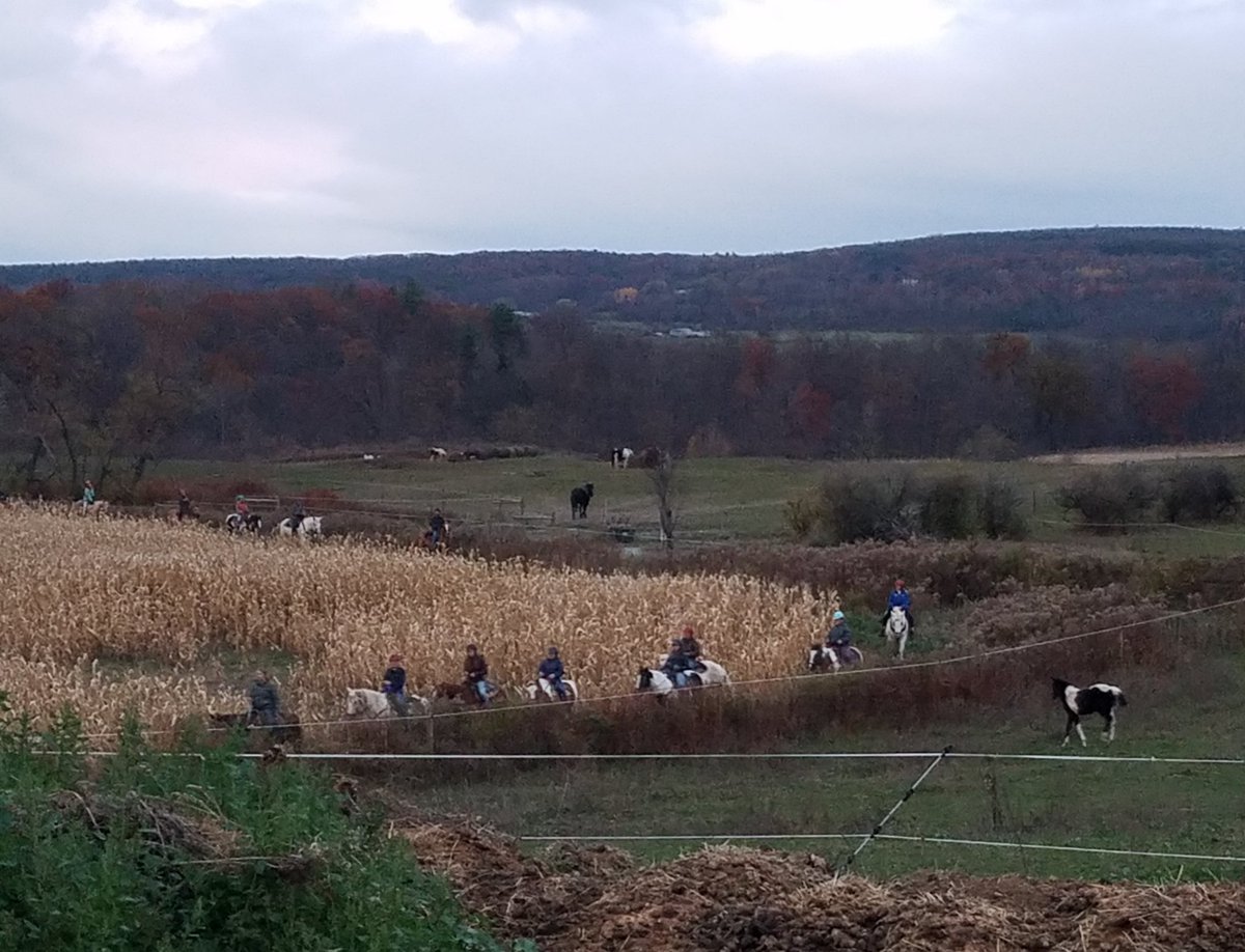 Aaron Mumby tweet media