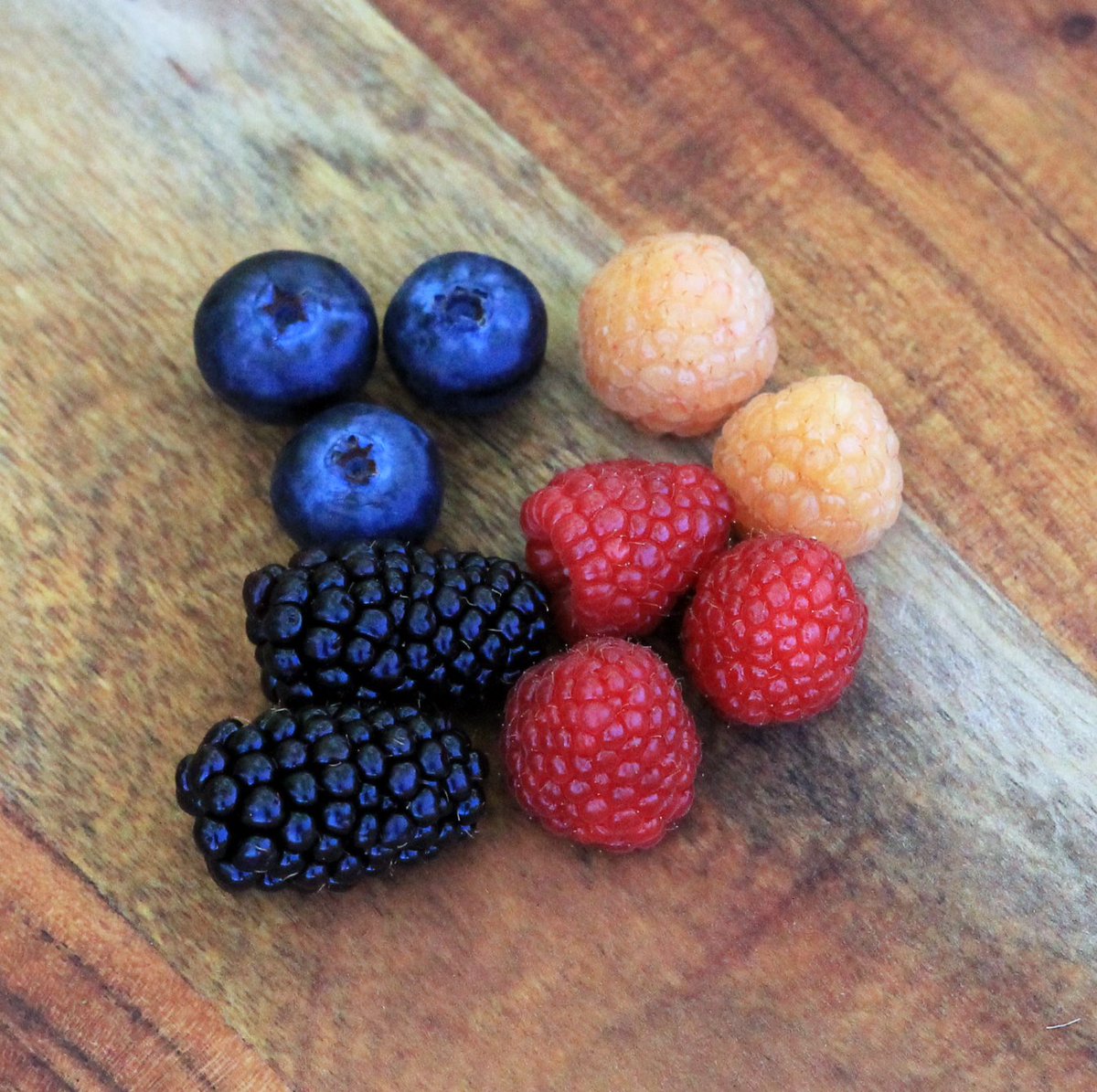 FreshNZBerries's tweet photo. All four berries that we grow here all together at last. Raspberries, Blackberries, Blueberries &amp; Solberries. What a beautiful combination. https://t.co/w4fUVHSXN3