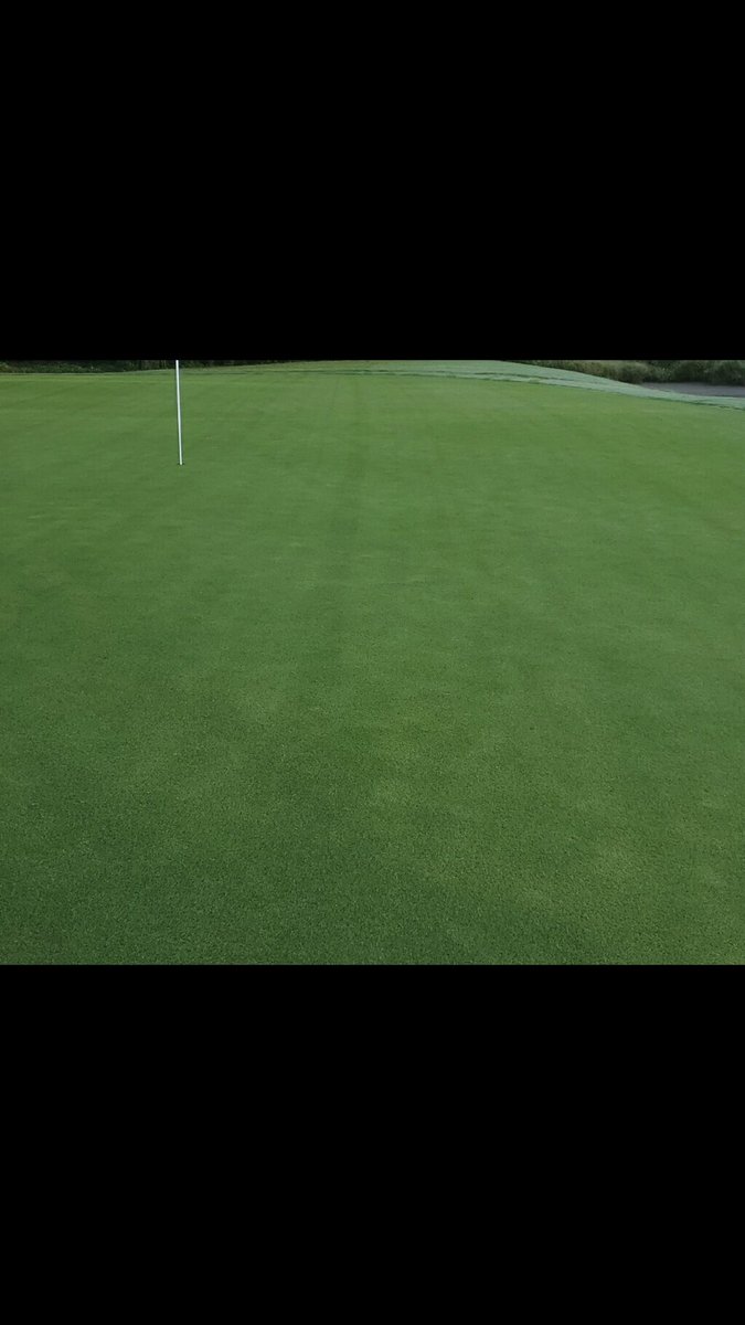 Veej73's tweet photo. The most satisfying part of my job is when customers send me pics and thanking me for helping them become successful. @redoxturf https://t.co/PoiRcpCisi