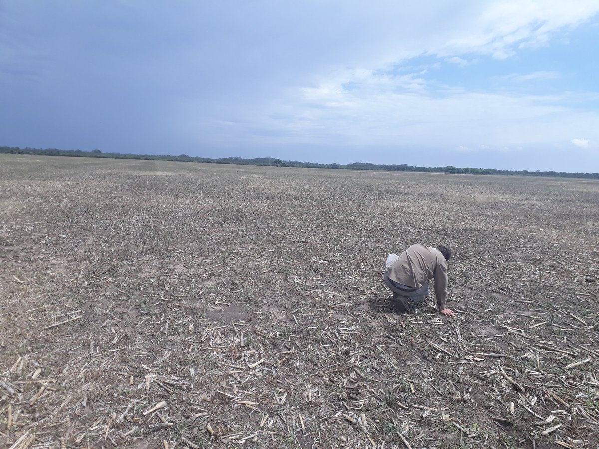 agrocontrolcba's tweet photo. Martes de gira con el técnico de #AgroControl. Cuidando detalles de #planificación productiva.
La retroalimentación, necesaria para cada #Step del proyecto.
#Números + #Gestión +#Campo= RESULTADOS.
#BuenMartes #Córdoba #CarneArgentina https://t.co/OLKjX8fpKt