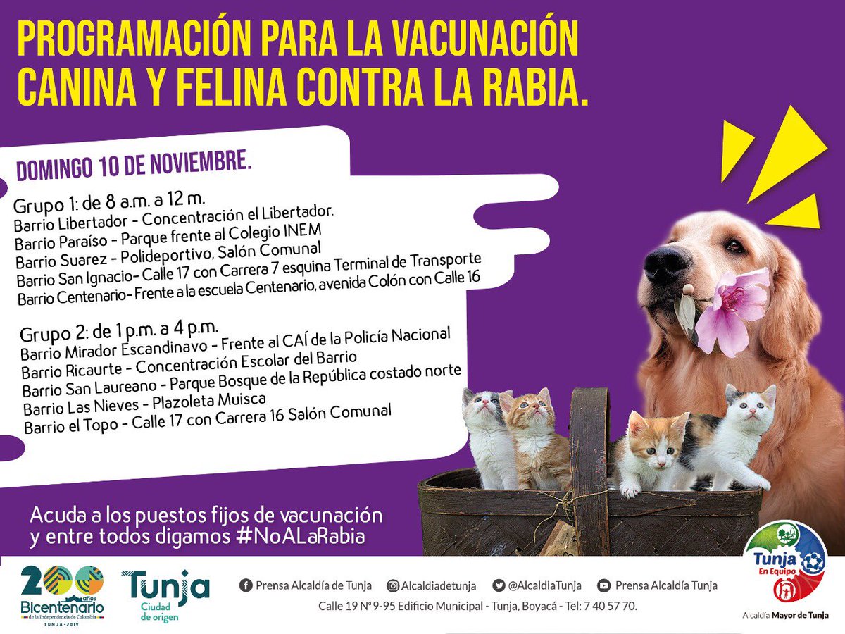 AlcaldiaTunja's tweet photo. 🐶❤️Los esperamos junto a sus mascotas en la Jornada de Vacunación Municipal Antirrábica.🐶

📣9 y 10 de noviembre🐶❤️

📣Entre todos digamos #NoALaRabia #TunjaCiudadDeOrigen https://t.co/47zbnFNhuQ