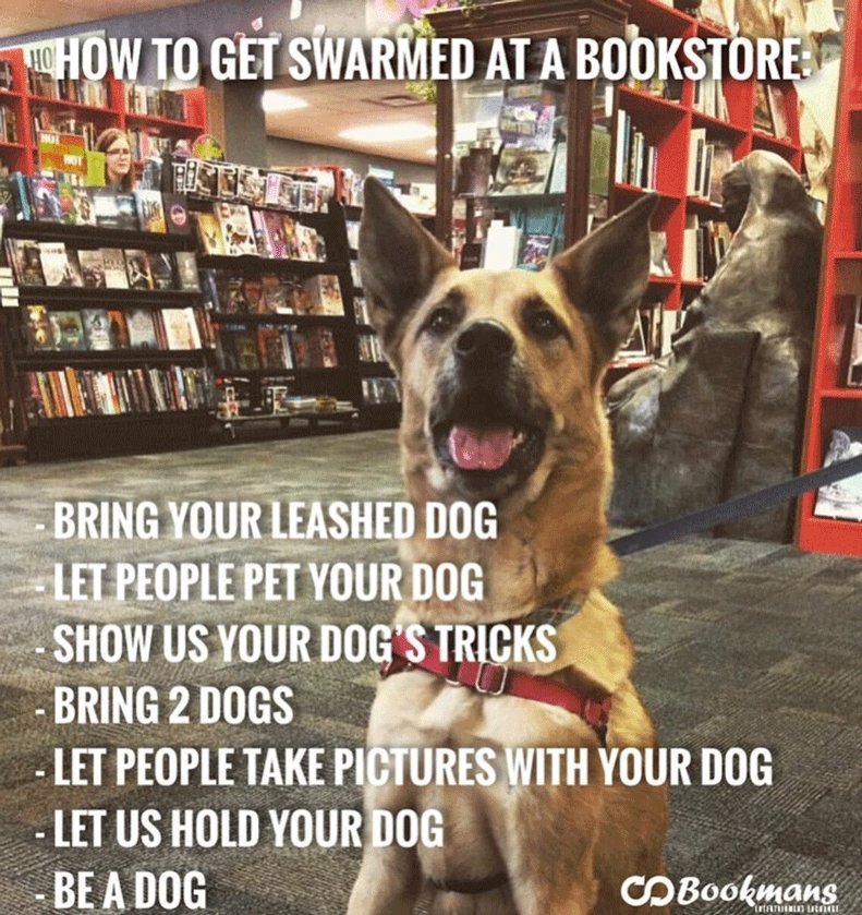 bookmans's tweet photo. Bookmans is dog-friendly! Okay, fine, we're #dog crazy... Either way, bring your #pooch shopping with you and get them some #exercise and socialization while you browse our bargains! #dogfriendlystore #dogsoftwitter https://t.co/qjJ8UcX0O3