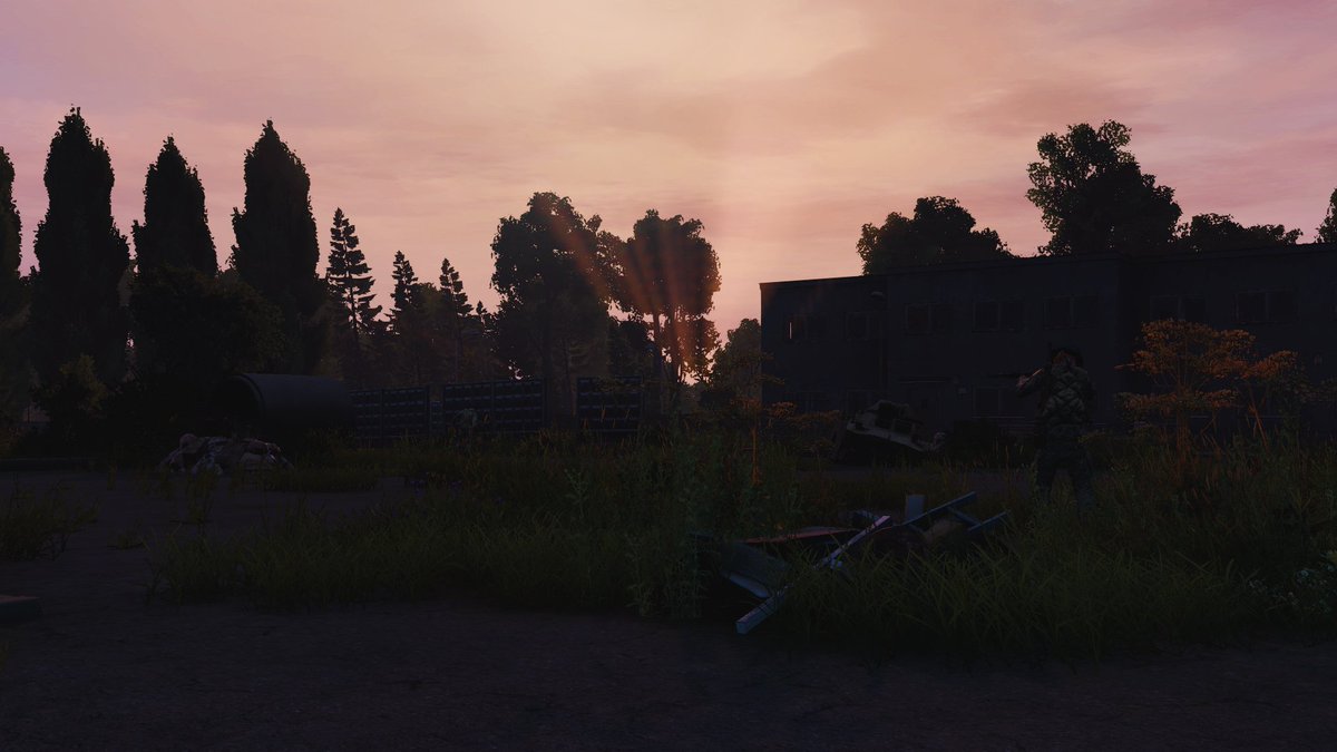 anaserkelens's tweet photo. Gotta take out the danger, we are here to survive. @DayZ #DayZ #Livonia https://t.co/iFOOoI4lwj