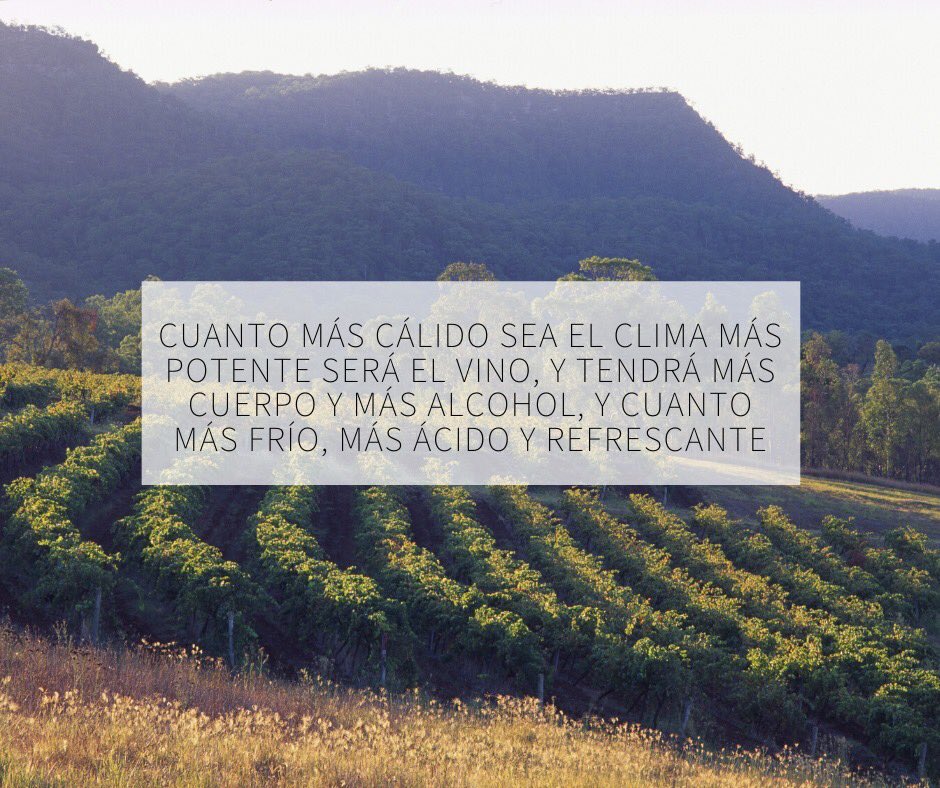 VinardoMx's tweet photo. Wine info #vino #tomavino #winetasting #winetime #vinomexicano #wine https://t.co/ZCv0pBTMeO