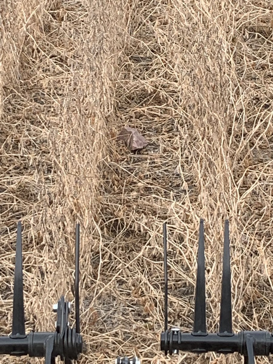 Craig Miller tweet media