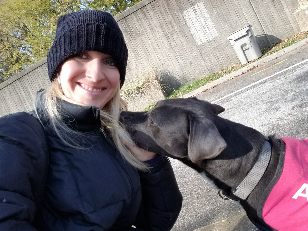 luvn80s's tweet photo. Come out to @vhslifesaver &amp; check out my buddy, Quint. What a sweetheart! So gentle &amp; playful, walks wells on a leash, &amp; patiently waits for treats! We had a great morning together. He needs his forever home. Adopt him today! https://t.co/uSj1FCze4x