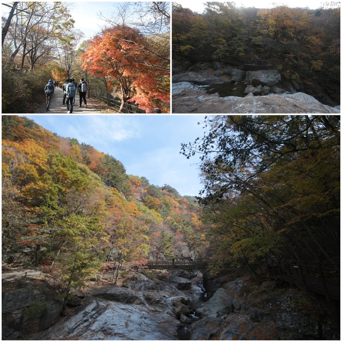 ☆첫나들이 폭포 가보실래요???☆
아름다운 지리산
단풍이 아름다운 첫나들이 폭포 가는 길
단풍 구경, 가을 여행 가실생각이신가요???
그럼 함양으로 오세요#🎶
#함양 #함양군 #단풍 #단풍여행 #가을여행 #첫나들이폭포 #백무동 #지리산 #가내소폭포 #단풍이쁨주의