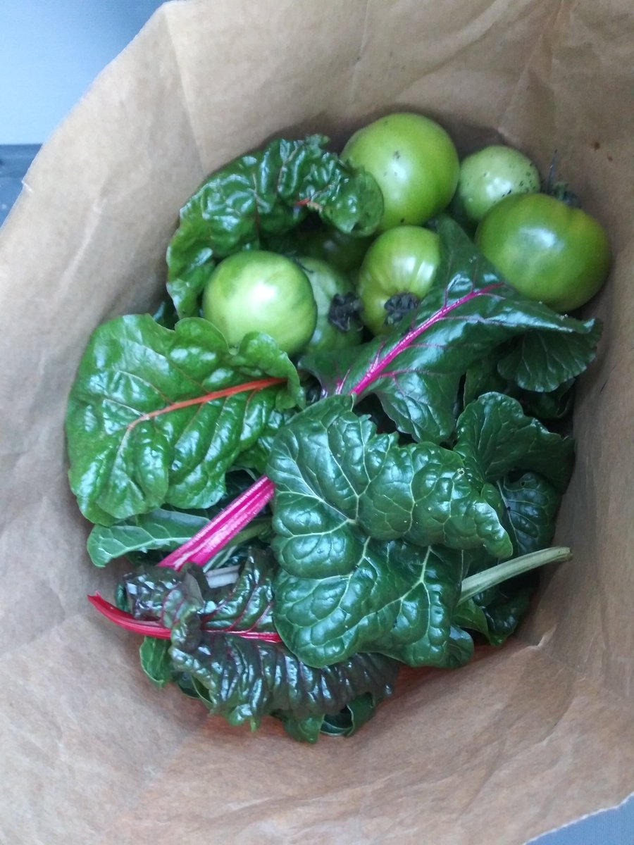 MrsMariscal128's tweet image. CWMS Team 8-1 last harvest of the year from our garden at CW Human Services! 
@CWMS_office 
#CWway
#CWMSchangemakers
#MyOhioclassroom
@mrs_daily