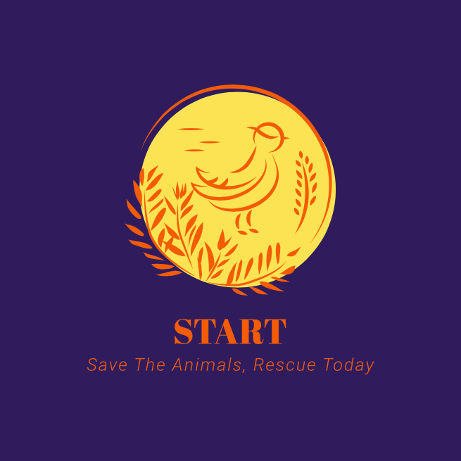 STARTPH2019's tweet image. Check out our Facebook page: facebook.com/STARTPhilippin…

#STARTPhilippines
#STARToday
#animals
#animallove
#love
#care
#notocruelty
#animalabuse
#savetheanimals
#extinction
#endangeredspecies