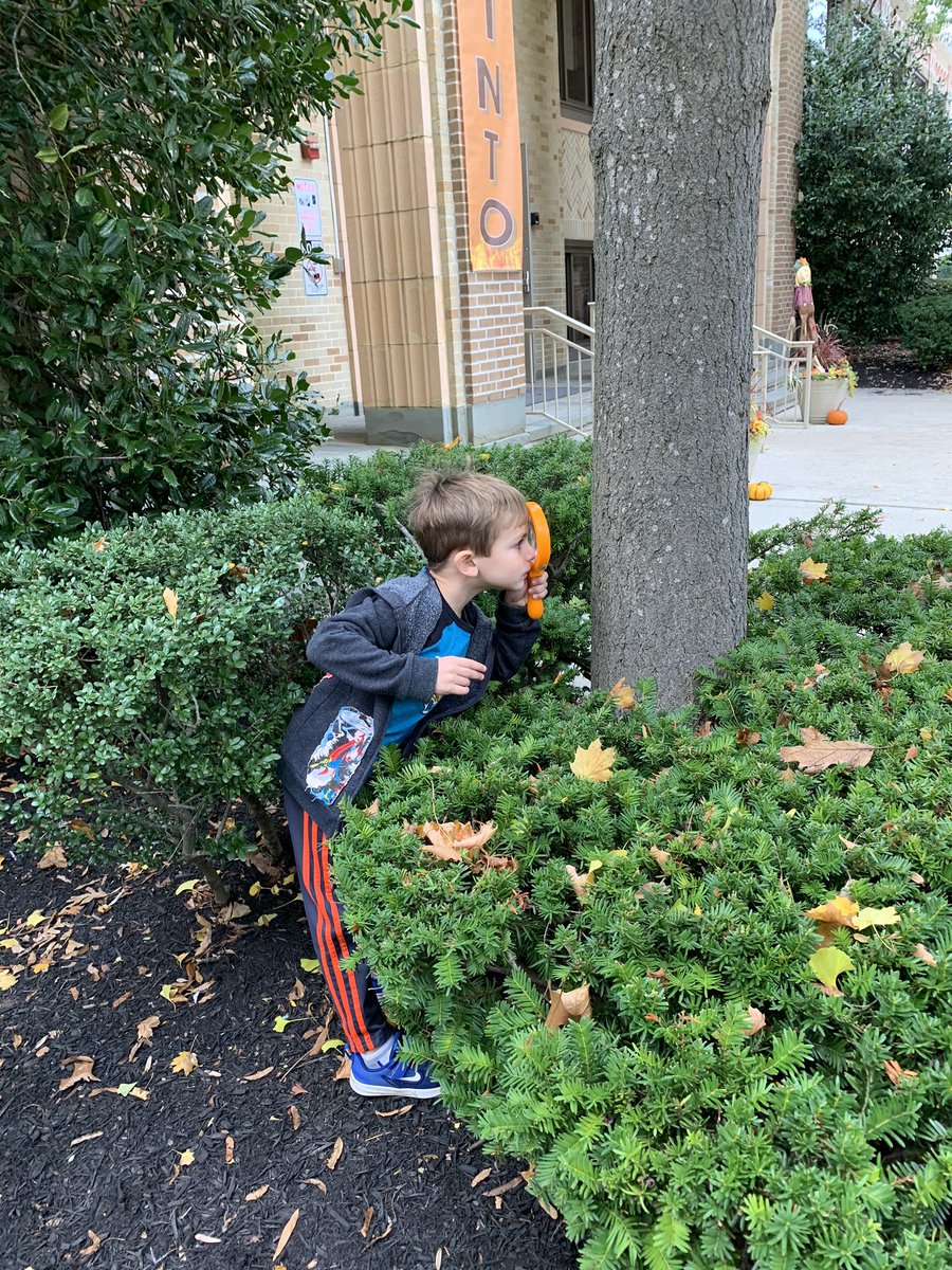 SchwartzSickles's tweet photo. Sickles’ youngest fully immersed in learning. #treestudy #FHLeads @FHCurriculum @TeachStrategies https://t.co/FatOiDltlB
