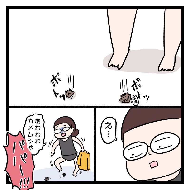 カメムシパニック

このあとお風呂の網戸掃除しようと網戸外したら2引き潜んでたよ…。

#コミックエッセイ 