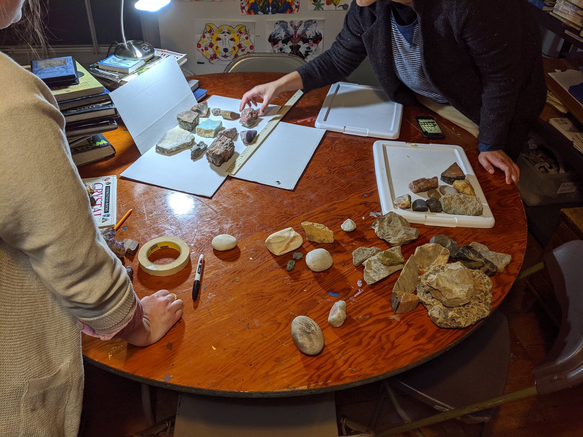 Virginia Tech Natural History Club tweet media